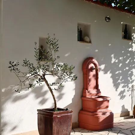 Provence 杜布罗夫尼克