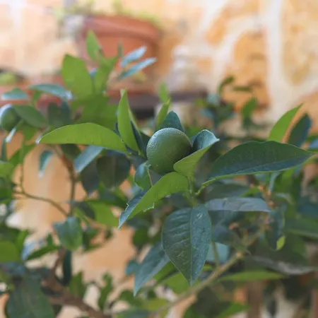 Apartamento Provence Dubrovnik